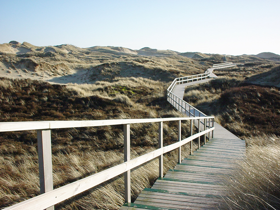 Duenenbolenweg